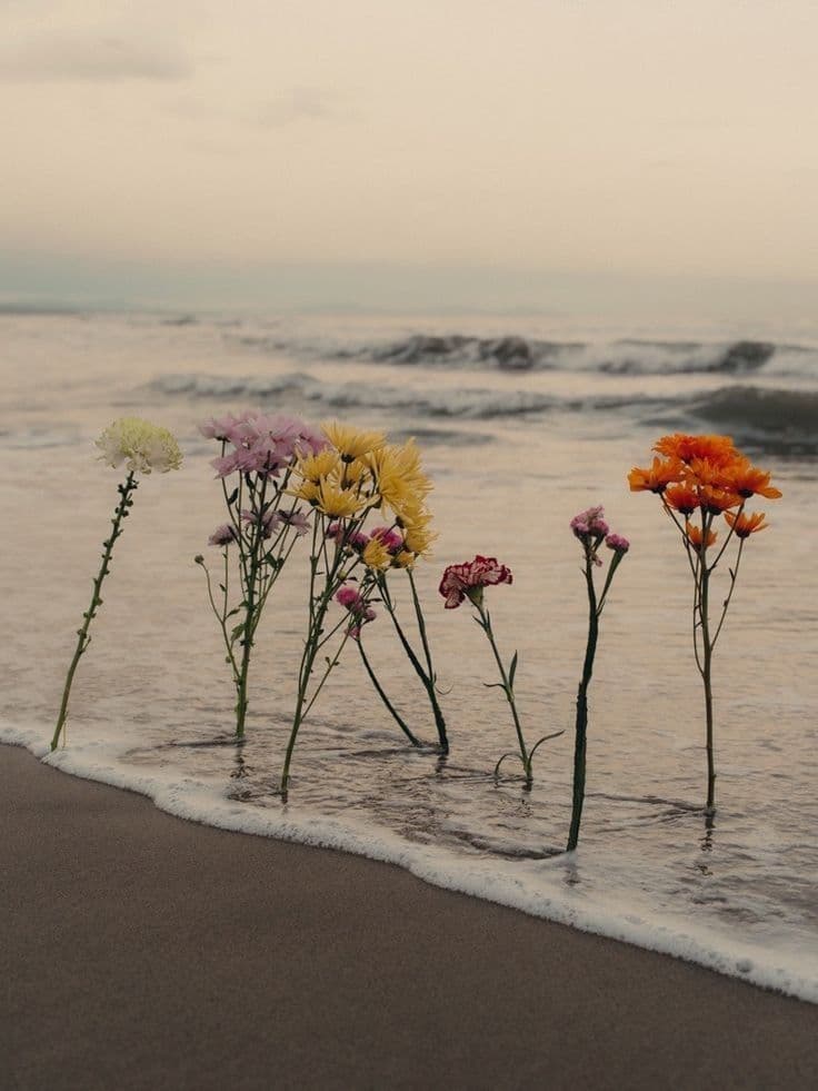 Serviços – A Tua Terapeuta